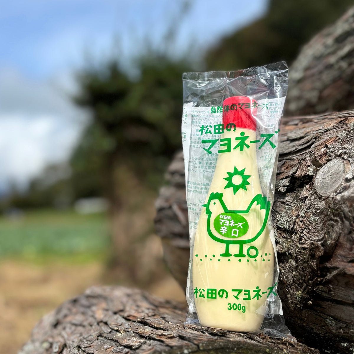 松田のマヨネーズ 辛口　宣材写真2